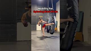 Mobility Exercises For Stronger Spinning Back Kicks mma kickboxing karate taekwondo [upl. by Uokes513]