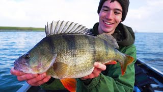 Dropshot and Lure Fishing for Perch  FULL GUIDE [upl. by Ydnem]