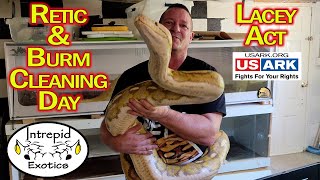 🐍 Burmese and Reticulated Python Handling amp Enclosure Cleaning Day [upl. by Aaren]