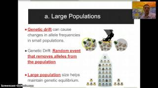 Genetic Equilibrium amp Introduction to HardyWeinberg [upl. by Cyndia]