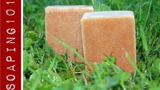 How to Make Jewelweed Soap for poison ivy S2W20 [upl. by Aneloaup718]