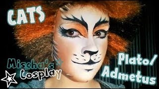 PlatoAdmetus  CATS  Make up timelapse HD 🐾 [upl. by Ysnap716]