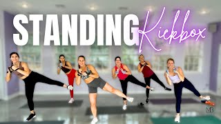 NO JUMPING STANDING ABS CARDIO  Kickbox amp Arm Sculpt [upl. by Eelyram]