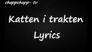 Einár  Katten i Trakten Lyrics Video [upl. by Aihcropal]