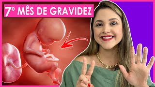 7 MESES DE GRAVIDEZ  SEMANAS 28 29 30 31 [upl. by Nnylg]