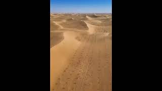 Planting trees in desert shorts viralvideo trending [upl. by Alenas790]