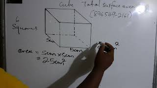 PEP PERFORMANCE TASK TOTAL SURFACE AREA [upl. by Raskind]