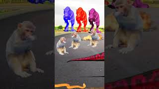 Dinosaur 🦖🦖 monkey dinosaur jurassic jurassicworld shorts video monkey [upl. by Niattirb83]