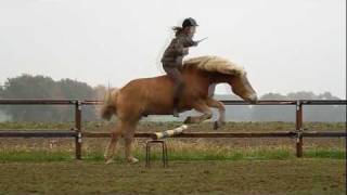 5 Ways of riding Shilas and Eva [upl. by Merrill]