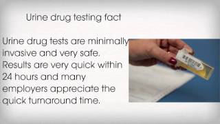 Easiest Way to Pass a Urine Drug Test in 24 Hours [upl. by Eivol260]