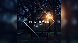 Naze  Phänomen Official Audio [upl. by Ahsiekim]