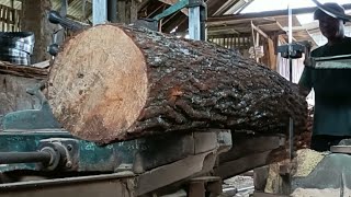 Extraordinary carpenters skill in splitting pine wood 5 [upl. by Suiddaht]