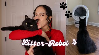 My Thoughts On The LitterRobot 4 and Setup 🐈‍⬛ [upl. by Nahtanhoj]