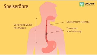 Chronische Entzündung der Speiseröhre  Eosinophile Ösophagitis Arzt erklärt [upl. by Haroldson]