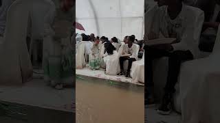 wedding tdf habesha tigrigna shortvideo tiktokvideo tiktok viralvideo viraltiktok new [upl. by Nylear427]