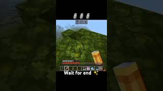 Boyes in minecraft minecraft minecraftpe minecraftshorts anime viralshorts tranding mrbeast [upl. by Anirret]