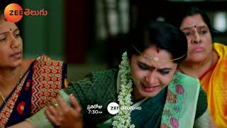 Meghasandesam Promo  14 Nov 2024  Everyday at 730PM  Zee Telugu [upl. by Annawaj]