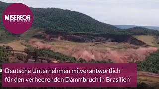 Deutsche Unternehmen mitverantwortlich für den verheerenden Dammbruch in Brasilien [upl. by Argile]