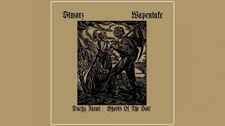 Stworz  Wapentake  Duchy Ziemi  Ghosts Of The Soil 2021 Full Split Album [upl. by Queri]