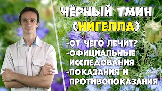 ЧЁРНЫЙ ТМИН чернушка посевная полезные свойства использование в медицине [upl. by Zane251]