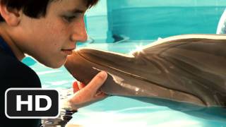 The Dolphin Story of a Dreamer  Teaser Trailer 1 [upl. by Spanos]