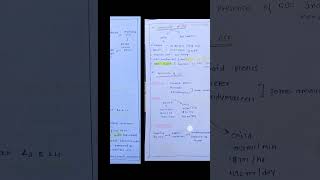 🤔cerebrospinal fluid🖋️🤗 components of csfcirculation of csf🤗youtubeshortsrrb upscNORCETneet [upl. by Namurt]