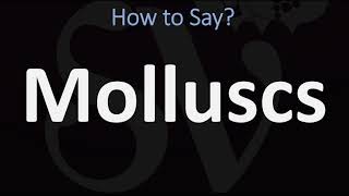 How to Pronounce Molluscs CORRECTLY [upl. by Hardej396]