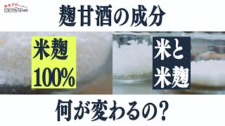 【おいしさ分析】「米麹１００％」VS「米麹＋米」！その違いはコク甘と麹菌量にあり！ [upl. by Durante]