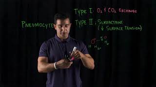 Respiratory Failure  type 1 vs type 2  in 2mins [upl. by Sacram]