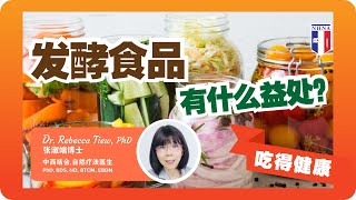 2分钟健康点滴 204 发酵食品有什么益处？  Dr Rebecca Tiew [upl. by Hamirak939]