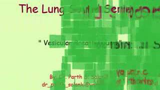 Breath Sound Bronchial vs Vesicular [upl. by Kaehpos]