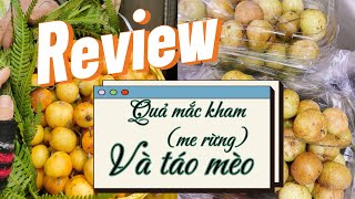 Review quả mắc kham me rừng và táo mèo sẽ như thế nào  pisa daily [upl. by Scornik325]