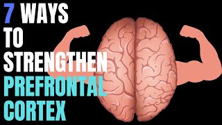 7 Ways You Can Strengthen Prefrontal Cortex [upl. by Ymrej]