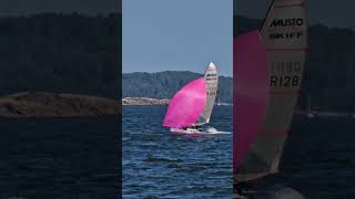 Musto Skiffs at Dalgety Bay Sailing Club sailing Skiff racing [upl. by Ennovoj]