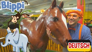 Blippi Deutsch  Blippi erkundet Dschungeltiere  Abenteuer und Videos für Kinder [upl. by Halehs]