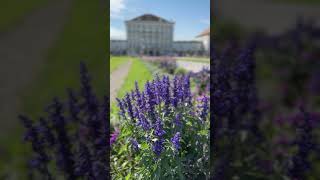 Nymphenburg Palace Munich August 2nd 2024 [upl. by Gardel]