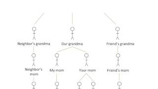 Our mtDNA ancestor [upl. by Notgnilra]