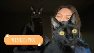 Vet school vlog  a day in my life study for exams pharmacology epidemiology [upl. by Adnaw]