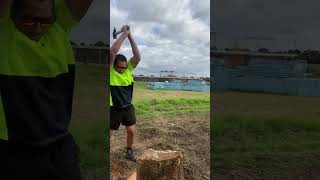 Ep 6 soft wood pine 🌲 axe woodchopping wood australia melbourne [upl. by Atiruam823]