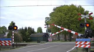 Spoorwegovergang Veenoord Nieuw Amsterdam  Dutch railroad crossing [upl. by Gosney]