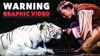 UNRELEASED Video of Siegfried and Roy Tiger Attack [upl. by Shirley428]