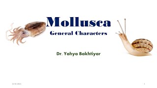 18 General Characters of Mollusca Characteristic Features of Mollusca  What are molluscs [upl. by Fidel289]