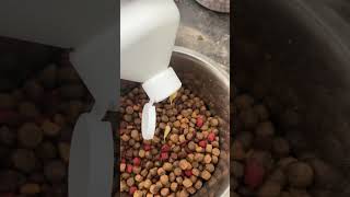 How I Feed My American Bully Pitbull Mix [upl. by Aiynot]