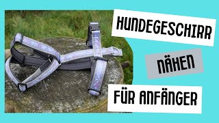 Hundegeschirr nähen DIY für Anfänger verstellbares Geschirr Hund nähen gratis Anleitung [upl. by Dowd353]