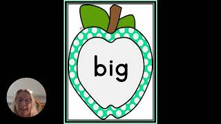 Master 10 Dolch PrePrimer Sight Words with Turquoise Dot Apple Flashcards Set 3  Fun Fall Learning [upl. by Hnamik]