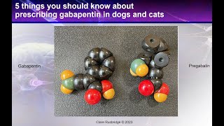 Gabapentin  5 things you should know in dogs and cats [upl. by Annavaig68]