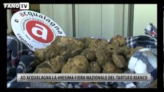 Ad Acqualagna la 48esima Fiera Nazionale del Tartufo Bianco [upl. by Babcock72]