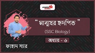 SSC Biology Chapter 6  Human Heart  মানুষের হৃদপিন্ড [upl. by Ofella]