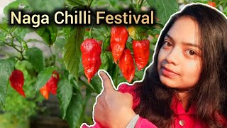 Naga Chilli Festival ✍🏻 [upl. by Aisya]