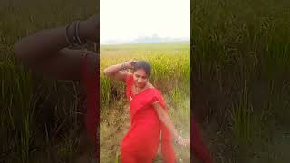 Jhulaniya Gir Gaya Nari mein pajaniya baswari mein short video [upl. by Hajin140]